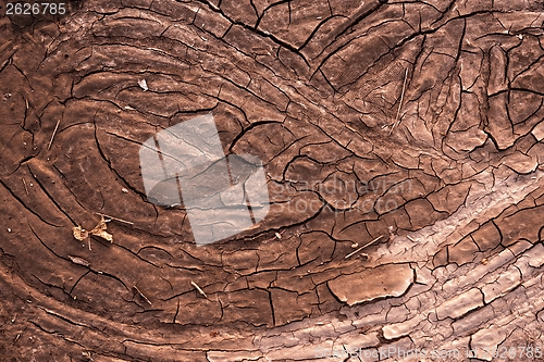 Image of Dry soil closeup before rain