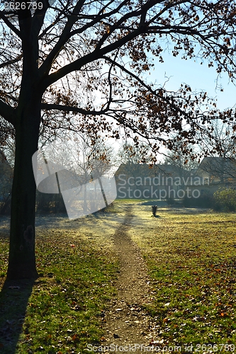 Image of Small Pathway going trough the park