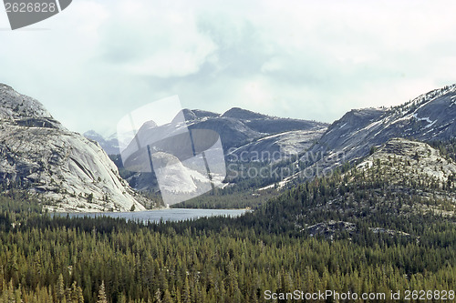 Image of Yosemite National Park