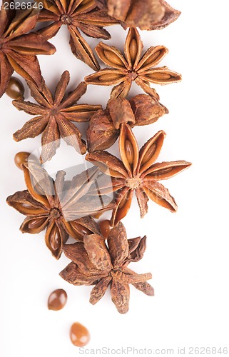 Image of Whole Star Anise isolated on white background