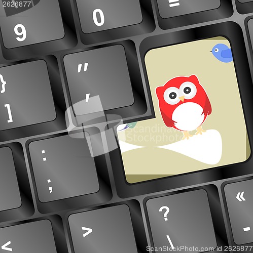 Image of owl on computer keyboard key with blue birds