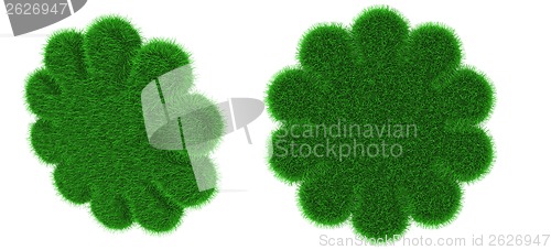 Image of Grassy flower shaped object