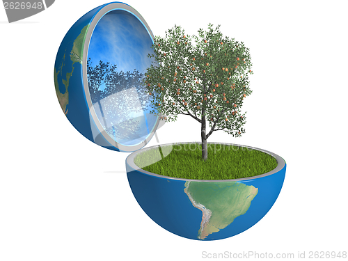 Image of Fruit tree inside planet