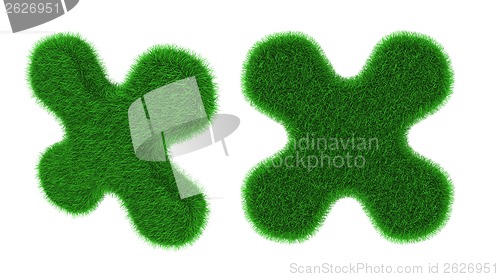 Image of Grassy flower shaped object