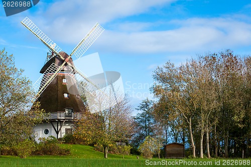 Image of Traditional wooden windmill in a lush garden