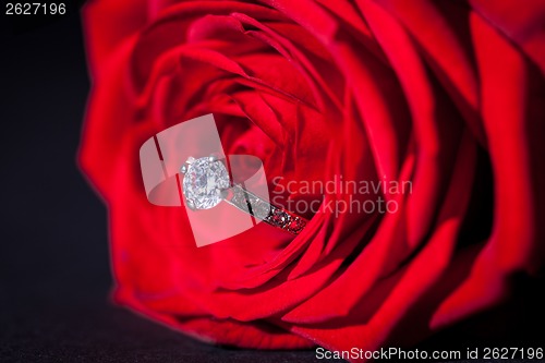 Image of Diamond engagement ring in the heart of a red rose