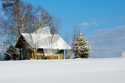 Image of forest and field  winter landscape