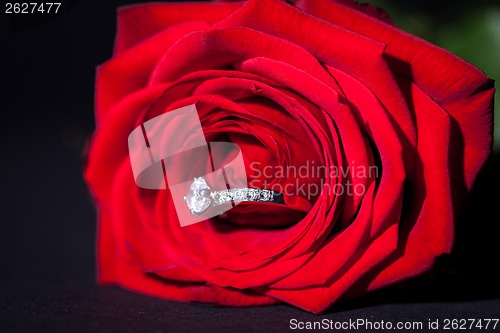 Image of Diamond engagement ring in the heart of a red rose