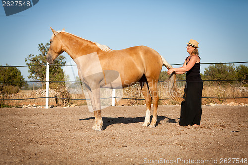 Image of young woman training horse outside in summer