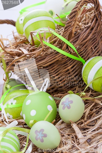 Image of Colourful green Easter eggs in straw