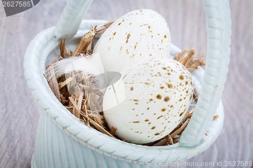 Image of Three natural blue Easter eggs in a basket