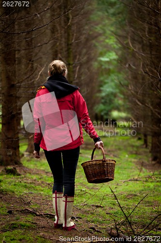 Image of young woman collecting mushrooms in forest