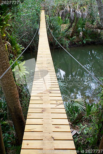 Image of long suspension walking bridge in tropics