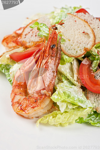 Image of Tasty shrimp salad