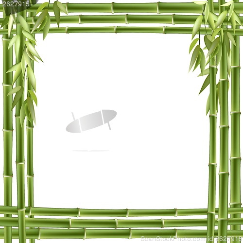 Image of Bamboo frame. Vector background