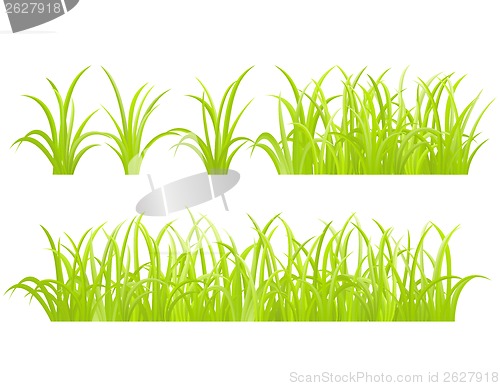 Image of set of green grass element