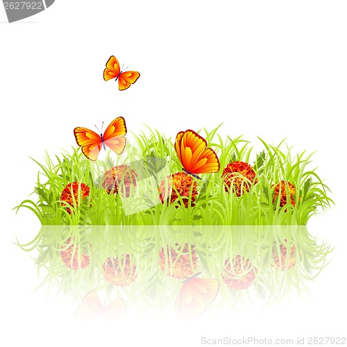 Image of Green meadow