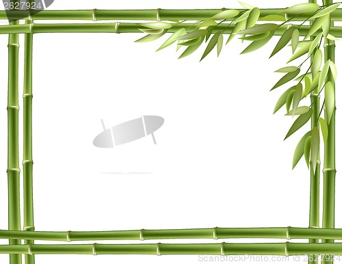 Image of Bamboo frame. Vector background