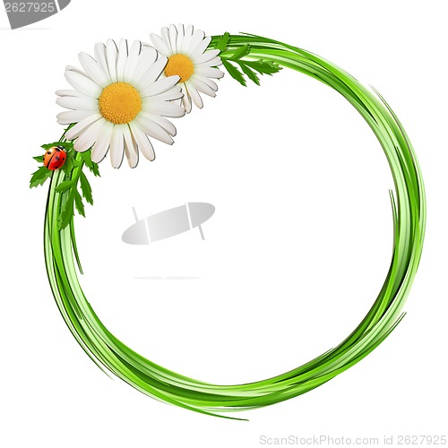 Image of Grass frame with daisy flowers and ladybug .