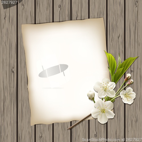 Image of Blank paper with blossoming cherry branch