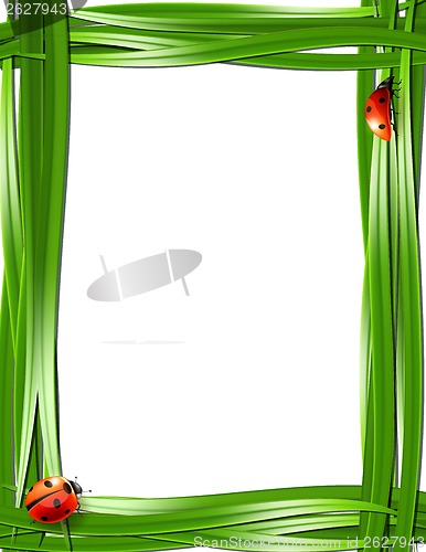 Image of Grass frame with ladybugs.