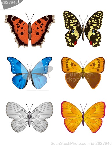 Image of Set of Butterfly, Vector Illustration.