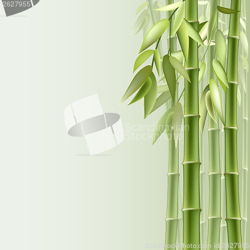 Image of Bamboo background