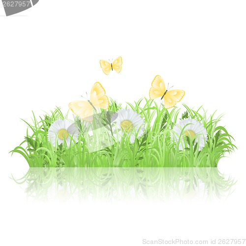 Image of Green meadow