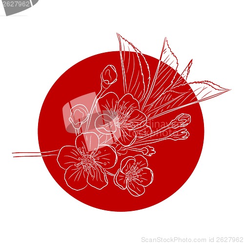 Image of Blossoming Cherry Tree