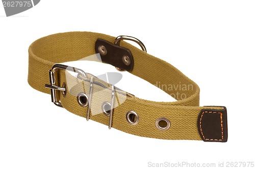 Image of Dog collar