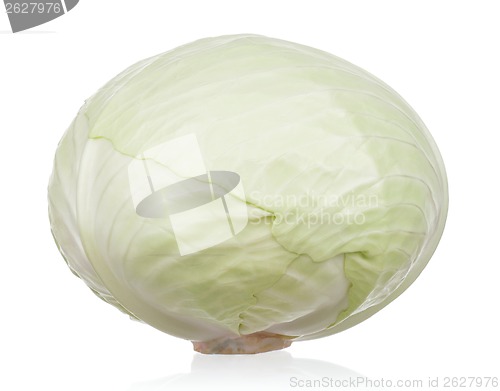 Image of Fresh cabbage