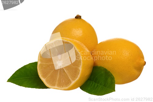 Image of Fresh lemon