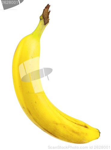 Image of Ripe bananas