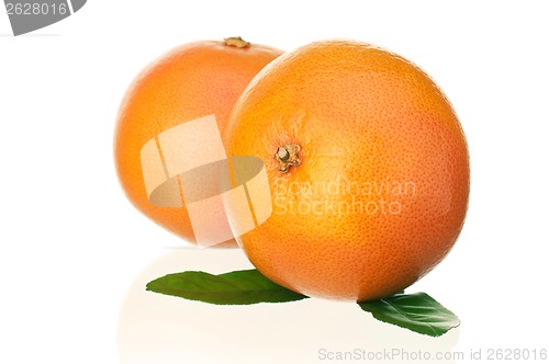 Image of Ripe grapefruit