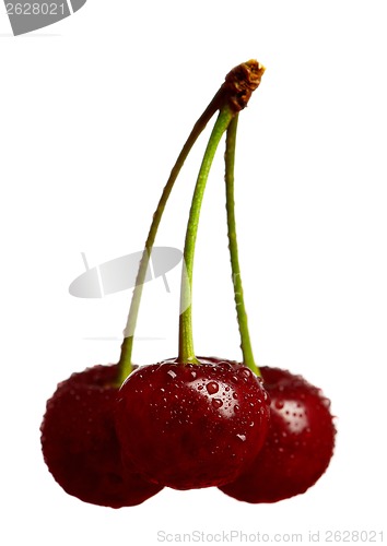 Image of Sweet cherries