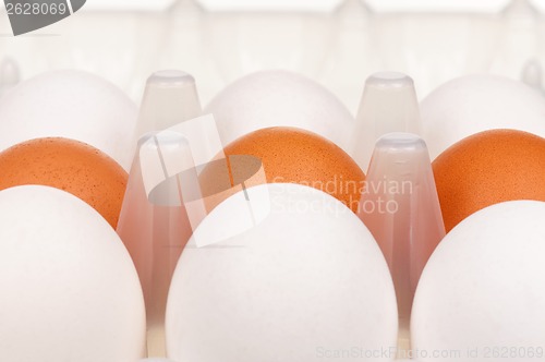 Image of Eggs in box