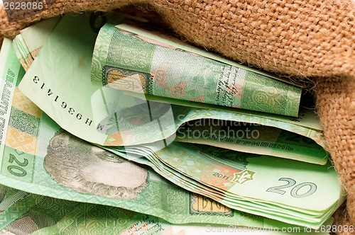 Image of Money bag with hryvna