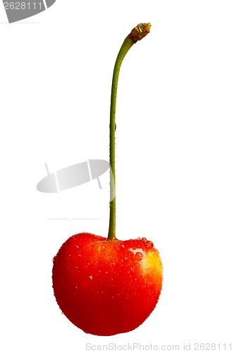 Image of Sweet cherries