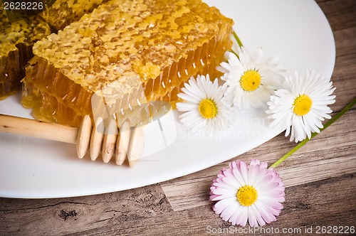 Image of honeycomb with daisies on white plate