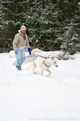 Image of Woman with a white dog on a walk in the woods during a snowfall