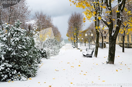 Image of Alley in the Park later in the autumn. Snow storm