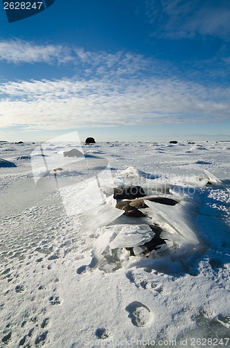 Image of  Stones in the ice on the Baltic Sea coast