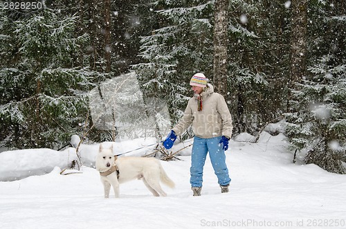 Image of Woman with a dog on a walk in the woods during a snowfall