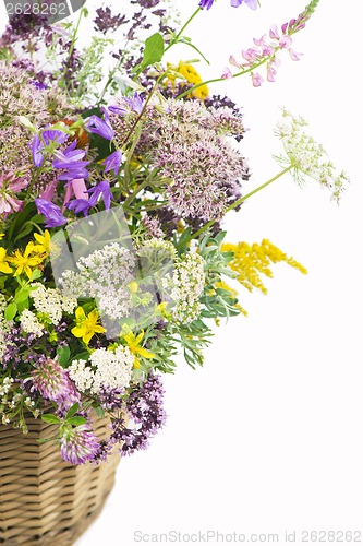 Image of Bouquet of medicinal herbs