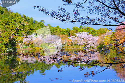 Image of Kyoto, Japan