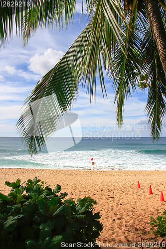 Image of On my way to the beach