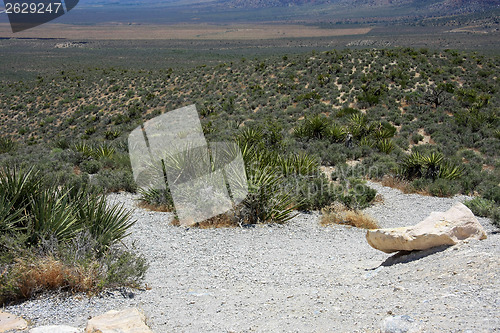 Image of Red Rock Canyon