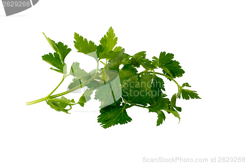 Image of Healthy fresh snack