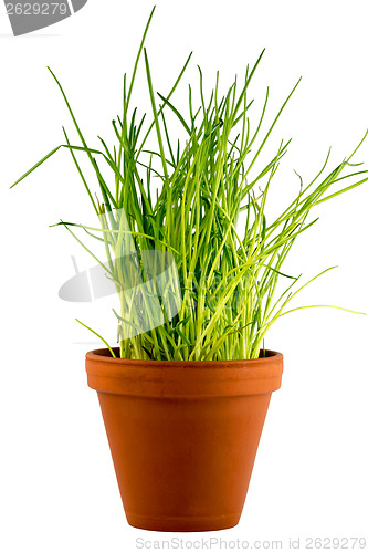 Image of Healthy fresh snack