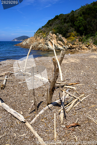 Image of The Art of wood